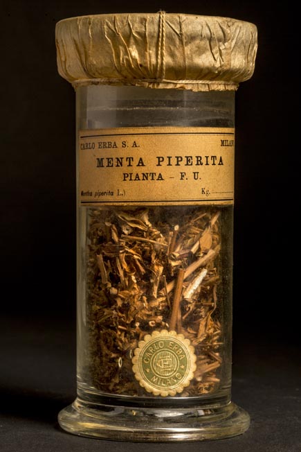MENTA PIPERITA - pianta F.U.